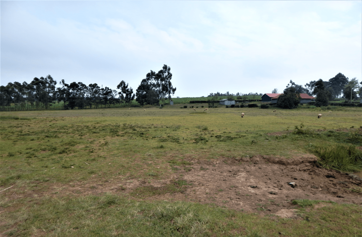 Residental land in Limuru Kenya